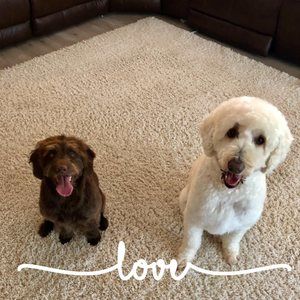 Meet your Posher, Tina